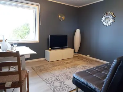 a living room with a couch and a tv at Adorable 1-bedroom apartment with a fantastic view - Free Parking in Trondheim