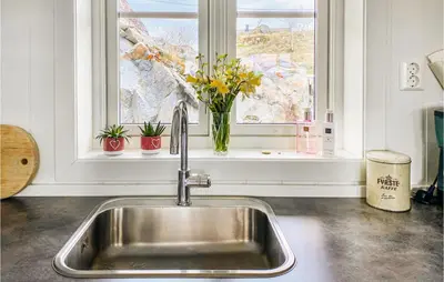 a kitchen sink with a vase of flowers in a window at Beach Front Home In Smøla With Kitchen in Smøla