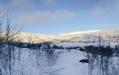 a snowy field with trees and a house in the snow at Holiday Home Haugastøl Xxxix in Haugastøl