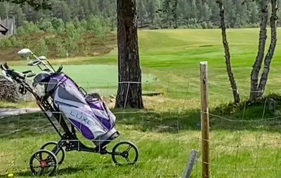 a purple stroller sitting in the grass next to a fence at 3 Bedroom Gorgeous Home In Bykle in Bykle