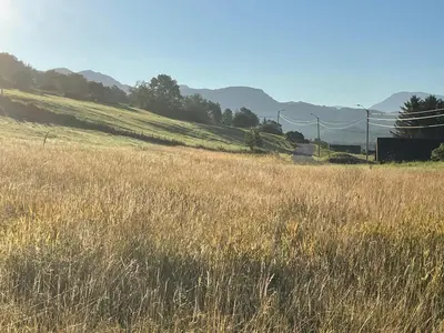 a field of tall brown grass with mountains in the background at Kråen Gard in Larsnes