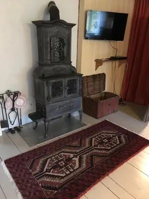 an old black stove in a room with a rug at Nedre Skogtun cabin by Norgesbooking in Tisleidalen