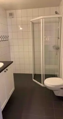 a bathroom with a shower with a toilet and a sink at Gaustablikk - ski in & out apartment - Mountain View in Gaustablikk