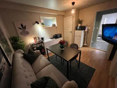 a living room with a couch and a table and a television at Bratsberg Apartment - with Kitchenette and Free Parking in Trondheim