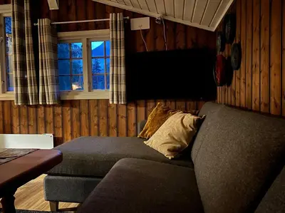 a living room with a couch and a window at Koselig hytte med uteplas ved Hallingdalselva in Ål