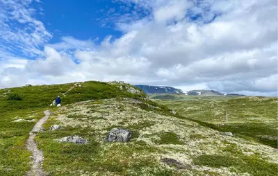 a person standing on top of a grassy hill at Awesome Home In Ustaoset With Wifi in Ustaoset