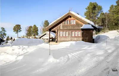 a house is covered in snow at 4 Bedroom Nice Home In Rauland in Rauland