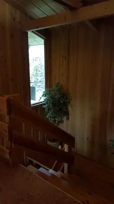 a wooden room with a potted plant and a window at Olden by the fjords of Norway, Bjørkelund in Stryn