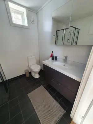 a bathroom with a toilet and a sink and a mirror at Molden 2-fjellutsikt og jacuzzi tilgang. in Luster