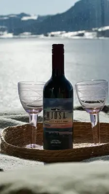 a bottle of wine and two glasses on a table at MJOS TOWER Suite - Lovely lake view in Brumunddalen