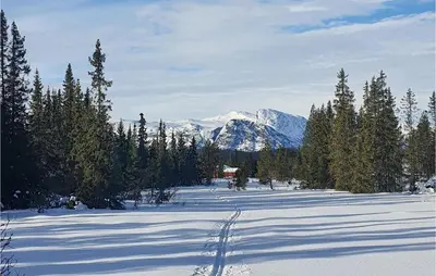 a snow covered field with trees and a mountain at Nice Home In Hemsedal With Sauna in Hemsedal