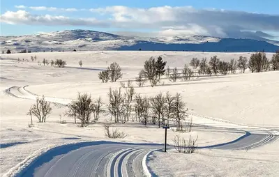 a road in a snow covered field with trees and mountains at 3 Bedroom Cozy Home In Røros in Røros