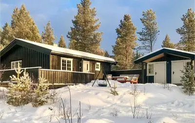 a log cabin in the snow with trees at 3 Bedroom Cozy Home In Røros in Røros