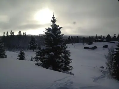 a christmas tree in the snow with the sun behind it at Cozy log cabin at beautiful Nystølsfjellet in Gol