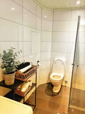 a bathroom with a toilet and a shower at Light home apartment Alesund with free parking in Ålesund