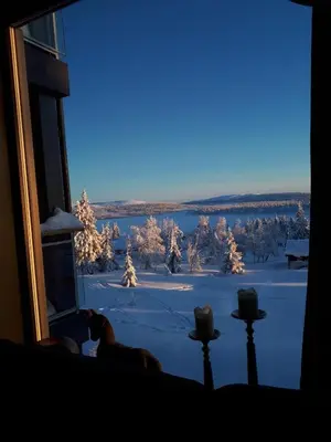a dog looking out a window at a snow covered field at Leilighet med panoramautsikt Sjusjøen Innendørs parkering in Sjusjøen