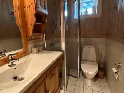 a bathroom with a shower and a toilet and a sink at Bjødnabakkens historie in Beitostøl