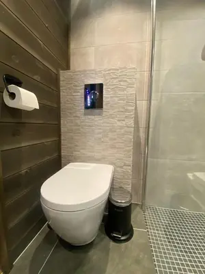 a bathroom with a toilet and a shower at Brobygget Mølla 101 in Kyrkjebøen