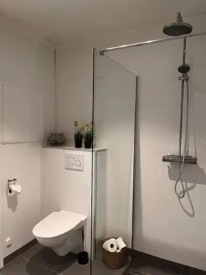 a bathroom with a toilet and a glass shower stall at Cozy house in Eidfjord in Eidfjord