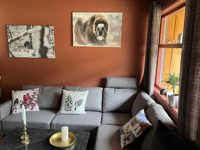 a living room with a couch and a lion on the wall at Actif 106 - Hallingheim apartment ski inn/ski ut in Ål
