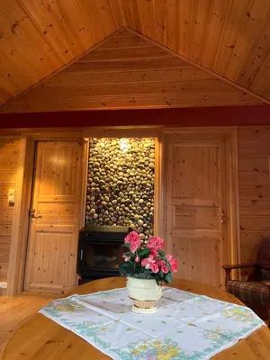 a vase of flowers on a table with a fireplace at Perlen på solheim I Hyen in Vereide