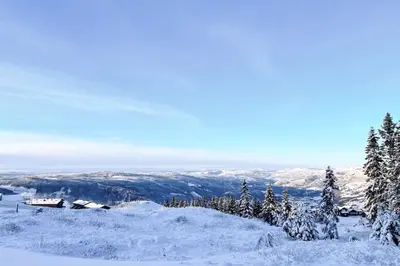 a snow covered slope with trees and mountains in the background at New ap The Nest in Hafjell ski in out and fast Wifi in Øyer