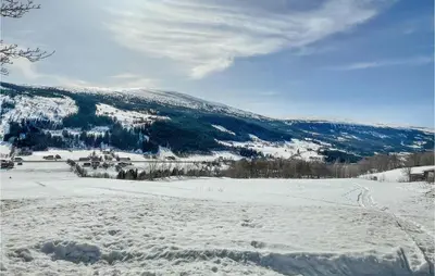 a snow covered field with a mountain in the background at Stunning Home In Ålen in Ålen