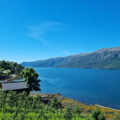 Leilighet v Hardangerfjorden