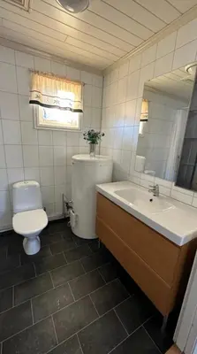 a bathroom with a toilet and a sink and a toilet istg at Nothaugen AS in Nordheim