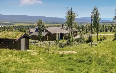 a house with a grass roof on top of a field at Stunning Home In Gol With Sauna in Gol